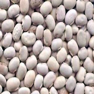 COWITCH (KAUNCH) SEED WHOLE